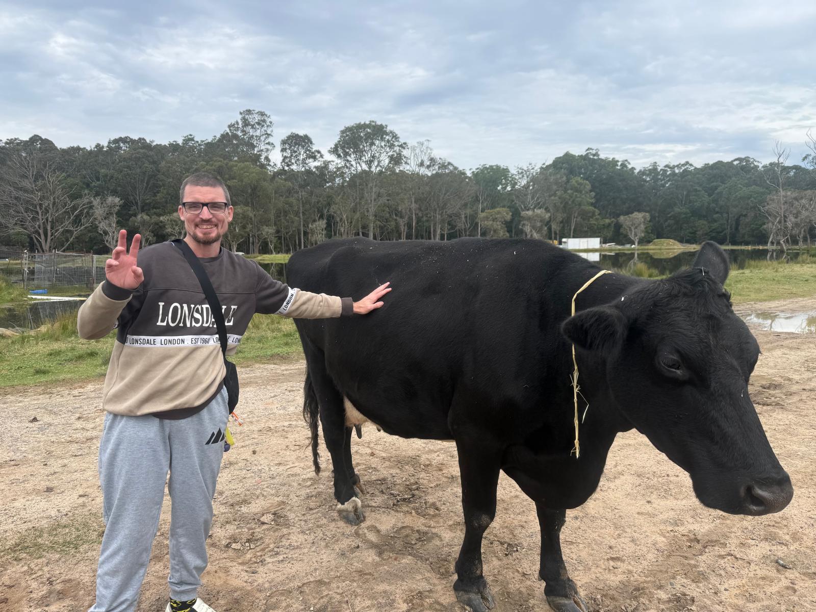 A participant patting a cow on a farm visit